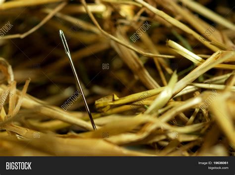 Hay needle - Hay needle | Gopinath Kavuri - Facebook ... Hay needle.